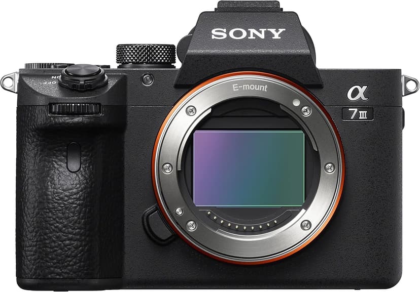 Sony Alpha 7 III - Appareil Photo Hybride Plein Format