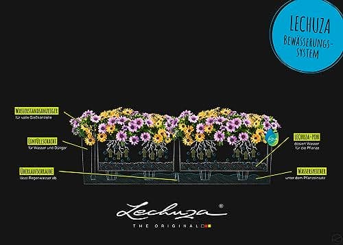 Lechuza Balconera Color 80 Kit Complet
